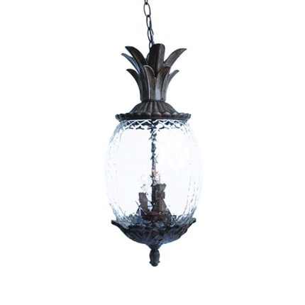 Acclaim Lighting Lanai Collection 3-Light Black Coral Outdoor Hanging Light Fixture 7516BC Otaku otaku.store